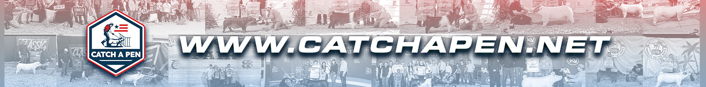 Catch A Pen - www.catchapen.net