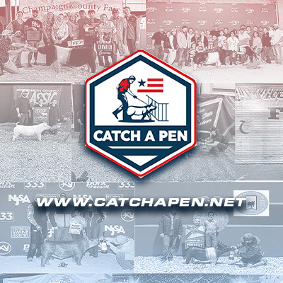 Catch A Pen - www.catchapen.net